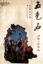 五色石 政协人物风采