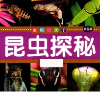 童眼识天下 昆虫探秘 升级版