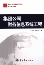 集团公司财务金融管理丛书 集团公司财务信息系统工程