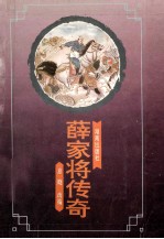 薛家将传奇