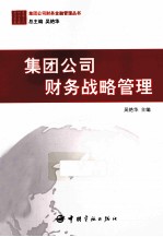 集团公司财务战略管理