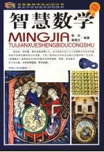 智慧数学 彩图版