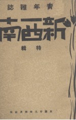 新西南 第2集