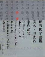 现当代宁波籍美术·书法名家作品集 沙耆
