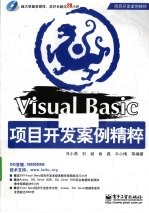 Visual Basic项目开发案例精粹