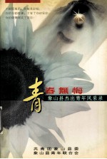 青春无悔 象山县杰出青年风采录