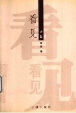 看见 诗集