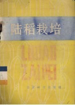陆稻栽培