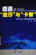 遭遇“麦莎”与“卡努” 2005北仑人民抗击强台风纪实