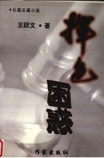 挥色困惑 长篇反腐小说