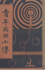 青年成功小传