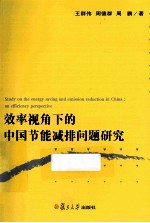 效率视角下的中国节能减排问题研究