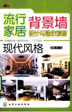 流行家居背景墙设计与造价解析 现代风格