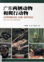 广东两栖动物和爬行动物