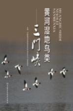黄河湿地鸟类 三门峡