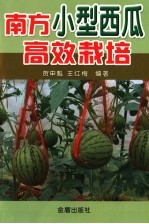 南方小型西瓜高效栽培