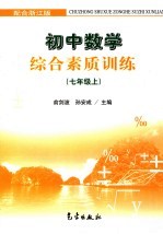 初中数学综合素质训练 七年级 上
