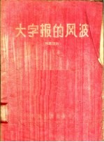 大字报的风波 独幕话剧