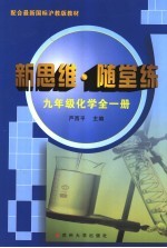 随堂新思维 九年级化学