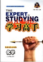 学习高手 化学 九年级 上 人教版