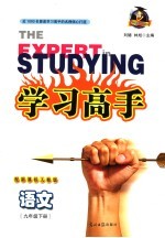 学习高手 语文 九年级 下 新课标人教版