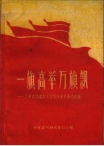 一旗高举万旗飘 共青团组织青工大闹技术革命的经验
