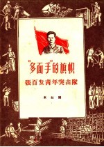“多面手”的旗帜 张百发青年突击队