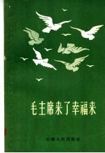 毛主席来了幸福来 民歌