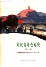 知识青年在延安 第2集