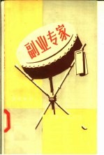 副业专家 演唱材料