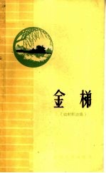 金梯 农村短诗集