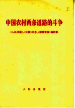 中国农村两条道路的斗争