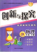 创新与探究 新课标同步训练 九年级物理 下 人教版