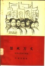 怒火万丈 解放台湾诗文画集