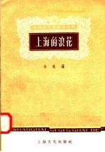 上海的浪花