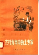 农村青年中的土专家