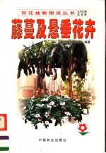 藤蔓及县垂花卉