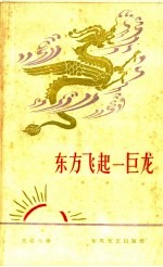 东方飞起一巨龙