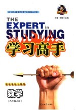 学习高手 数学 九年级 上 人教版