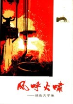 风呼火啸 报告文学集