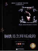 钢铁是怎样炼成的 读练考精编版