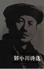 郭小川诗选 下
