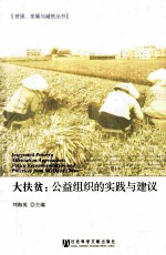 大扶贫 公益组织的实践与建议
