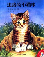 爱的味道图画书 迷路的小猫咪