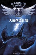 疾速天使 天使改造计划