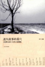 迷失故事的墓穴 世界文学五年小说精选