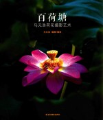 百荷塘 马元浩荷花摄影艺术