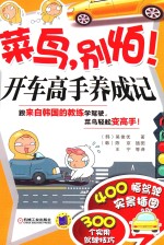 菜鸟,别怕!开车高手养成记