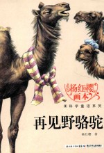 再见野骆驼