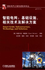 智能电网 基础设施、相关技术及解决方案